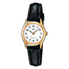 Casio Collection Women Gold/Schwarz
