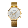 Paul Hewitt Oceanpulse IP-Gold (14k)/IP-Gold (14k)