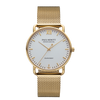 Paul Hewitt Sailor 39 IP-Gold (14k)/IP-Gold (14k)
