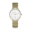 Sternglas Naos Xs gold/gold